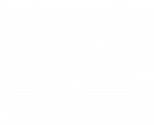air-force-white